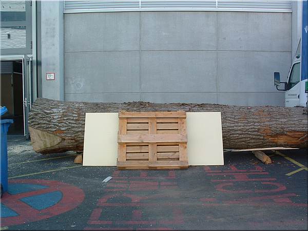  motors�ge kettens�ge schnitzen holzwerker hitachi gafa