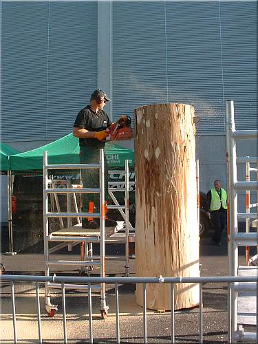  motors�ge kettens�ge schnitzen holzwerker hitachi gafa