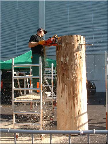  motors�ge kettens�ge schnitzen holzwerker hitachi gafa