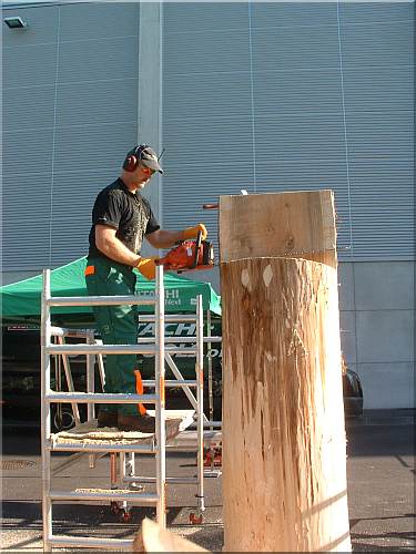  motors�ge kettens�ge schnitzen holzwerker hitachi gafa