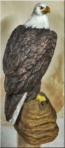 weikopfseeadler bald eagle adler   motorsgenkunst kettensge schnitzen jochen adam holzwerker