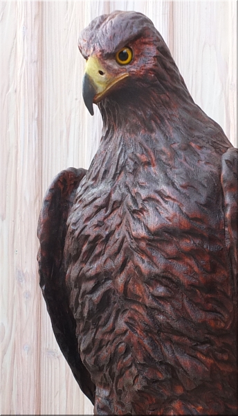 steinadler adler eagle  motors�ge kettens�ge schnitzen jochen adam holzwerker