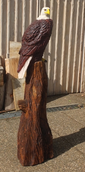wei�kopfseeadlear  bald eagle lifesize adler eagle  motors�ge kettens�ge schnitzen jochen adam holzwerker