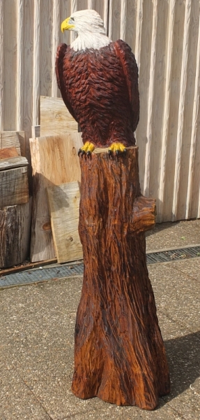wei�kopfseeadlear  bald eagle lifesize adler eagle  motors�ge kettens�ge schnitzen jochen adam holzwerker