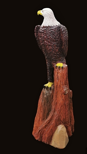 wei�kopfseeadler bald eagle lifesize adler eagle  motors�ge kettens�ge schnitzen jochen adam holzwerker