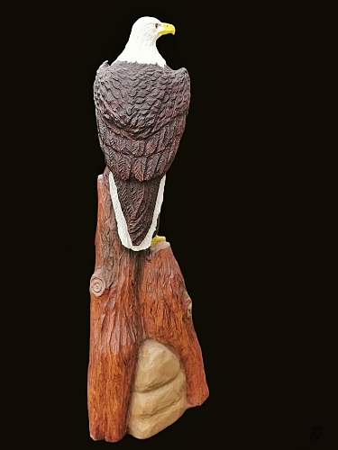 wei�kopfseeadler bald eagle lifesize adler eagle  motors�ge kettens�ge schnitzen jochen adam holzwerker