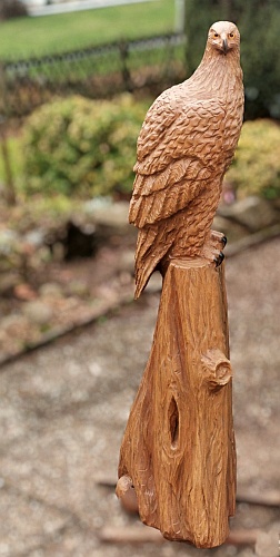 steinadler  lifesize adler eagle  motors�ge kettens�ge schnitzen jochen adam holzwerker