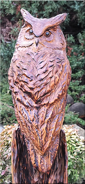 eule holz motors�ge kettens�ge schnitzen kettes�genkunst motors�genkunst 