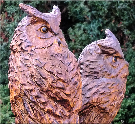 eule holz motors�ge kettens�ge schnitzen kettes�genkunst motors�genkunst 