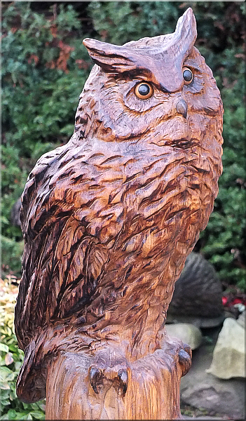 eule holz motors�ge kettens�ge schnitzen kettes�genkunst motors�genkunst 