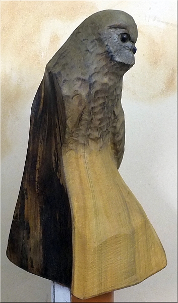 skulptur kauz eule holz motors�ge kettens�ge schnitzen kettes�genkunst motors�genkunst 