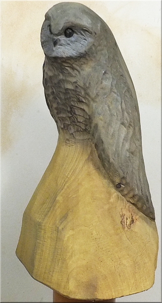 eule art kunst kauz eule holz motors�ge kettens�ge schnitzen kettes�genkunst motors�genkunst 