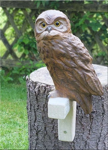 kauz eule holz motors�ge kettens�ge schnitzen kettes�genkunst motors�genkunst 