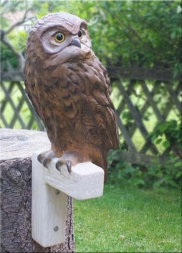 kauz eule holz motors�ge kettens�ge schnitzen kettes�genkunst motors�genkunst 