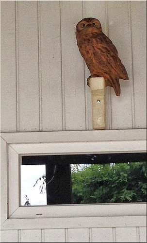 kauz eule holz motors�ge kettens�ge schnitzen kettes�genkunst motors�genkunst 