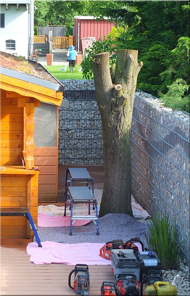 eule holz motors�ge kettens�ge schnitzen kettes�genkunst motors�genkunst 