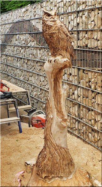 eule holz motors�ge kettens�ge schnitzen kettes�genkunst motors�genkunst 