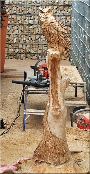 eule holz motors�ge kettens�ge schnitzen kettes�genkunst motors�genkunst 