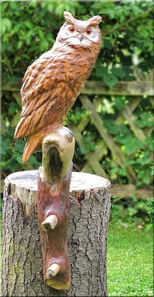 eule holz motors�ge kettens�ge schnitzen kettes�genkunst motors�genkunst 