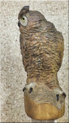 eule holz motors�ge kettens�ge schnitzen kettes�genkunst motors�genkunst 