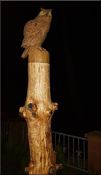 eule holz motors�ge kettens�ge schnitzen kettes�genkunst motors�genkunst 