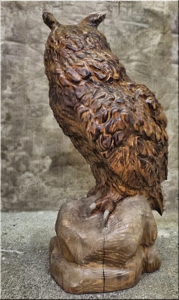 eule holz motorsäge kettensäge schnitzen kettesägenkunst motorsägenkunst