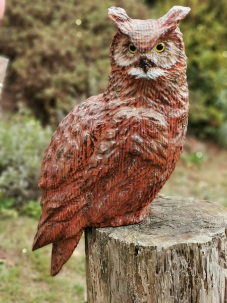 eule uhu motors�ge kettens�ge schnitzen holz kunst holzwerker