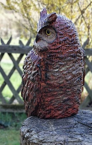 eule holz motors�ge kettens�ge schnitzen kettes�genkunst motors�genkunst holzwerker