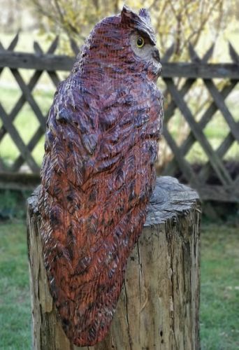 eule holz motors�ge kettens�ge schnitzen kettes�genkunst motors�genkunst holzwerker