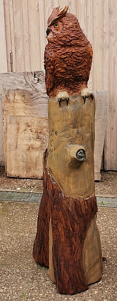 eule holz motors�ge kettens�ge schnitzen kettes�genkunst motors�genkunst holzwerker