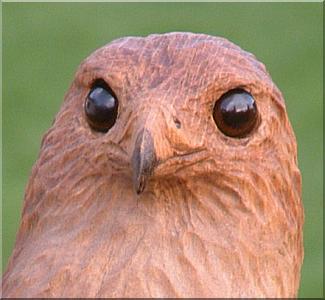 falke falcon holz motors�ge kettens�ge schnitzen kettes�genkunst motors�genkunst holzwerker