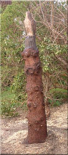 falke falcon holz motors�ge kettens�ge schnitzen kettes�genkunst motors�genkunst holzwerker