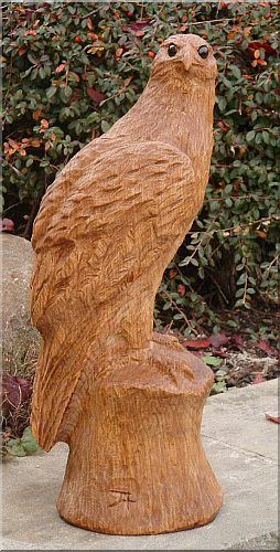 falke falcon holz motors�ge kettens�ge schnitzen kettes�genkunst motors�genkunst holzwerker