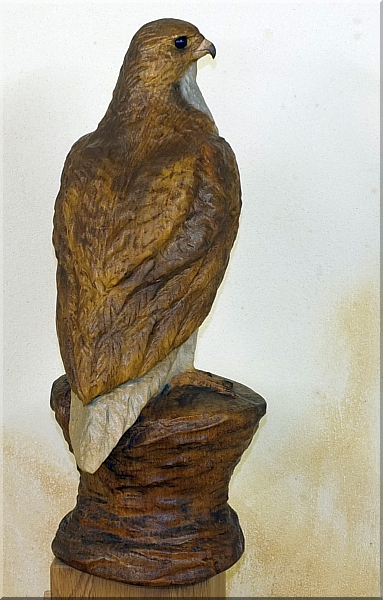 falke falcon holz motors�ge kettens�ge schnitzen kettes�genkunst motors�genkunst holzwerker