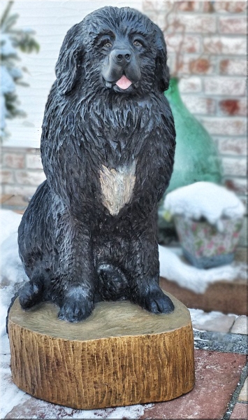 neufundl�nder newfound dog