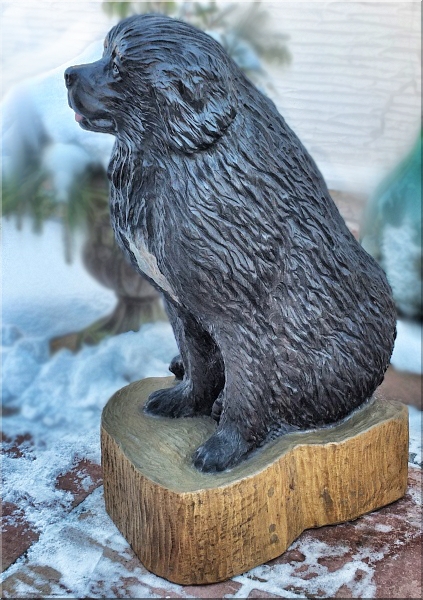 neufundl�nder newfound dog