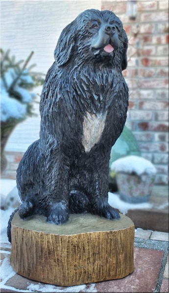 neufundl�nder newfound dog