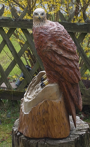 rotmilan gabelweihe holzwerker jochen adam motors�ge kettens�ge schnitzen holz figur skulptur