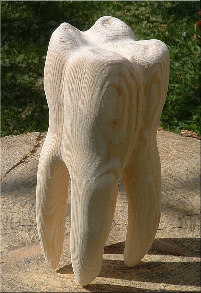 zahn holz schnitzen geschnitzt  motors�ge kettens�ge holzwerker